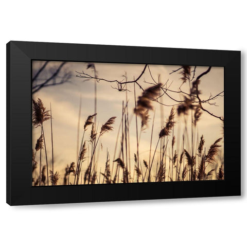 No Worries Black Modern Wood Framed Art Print with Double Matting by Orlando