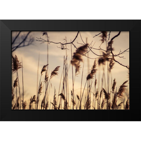 No Worries Black Modern Wood Framed Art Print by Orlando