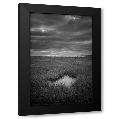 The Center Of It All Black Modern Wood Framed Art Print by Orlando