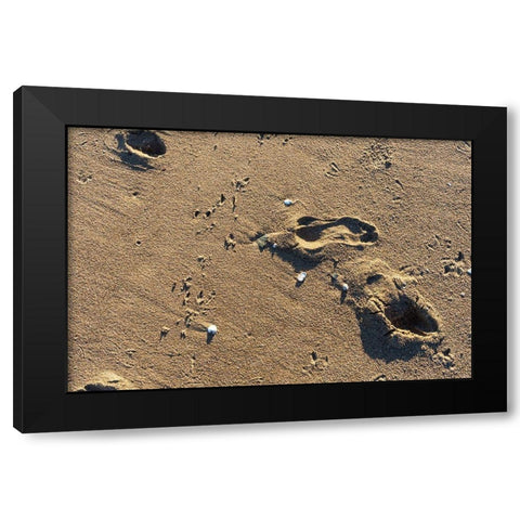 Foot Prints Black Modern Wood Framed Art Print with Double Matting by Orlando