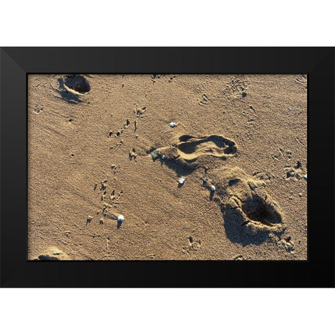 Foot Prints Black Modern Wood Framed Art Print by Orlando