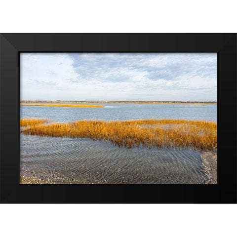 Winter Marsh Black Modern Wood Framed Art Print by Orlando