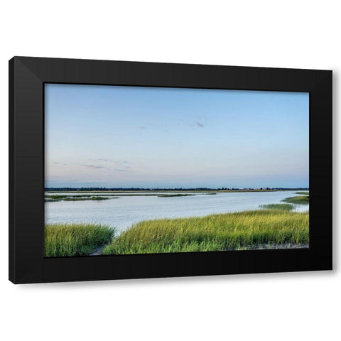 Summer Marsh Black Modern Wood Framed Art Print with Double Matting by Orlando