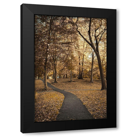 Wooded Path Black Modern Wood Framed Art Print by Orlando