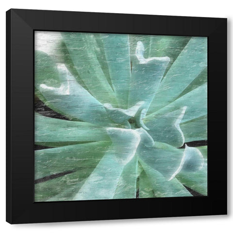 Succulent Memory 2 Black Modern Wood Framed Art Print by Pearson, Debbie