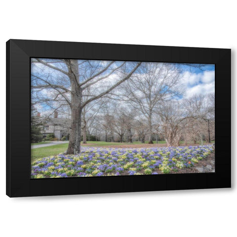 Overdue Wonder Black Modern Wood Framed Art Print by DeLuca, Pat