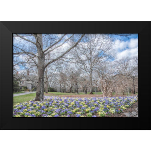 Overdue Wonder Black Modern Wood Framed Art Print by DeLuca, Pat