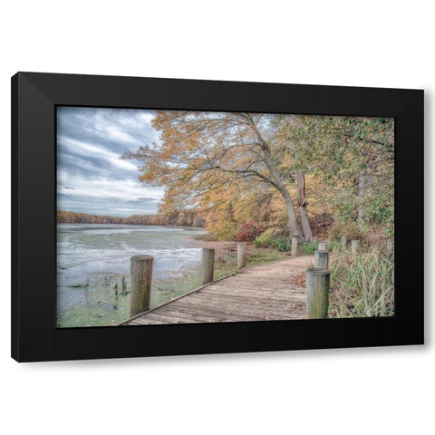 Blydenburg Park Black Modern Wood Framed Art Print with Double Matting by DeLuca, Pat