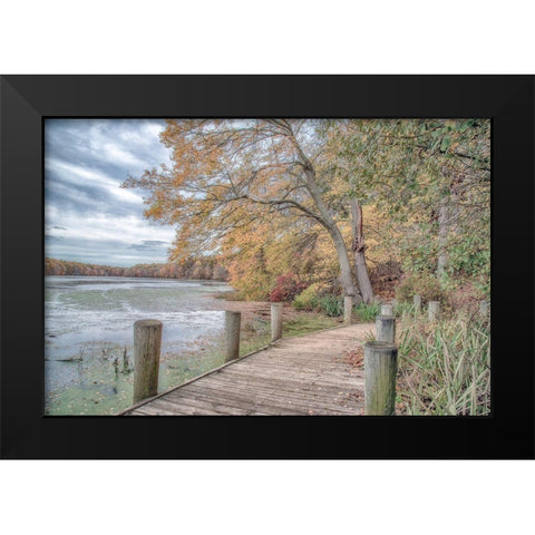 Blydenburg Park Black Modern Wood Framed Art Print by DeLuca, Pat