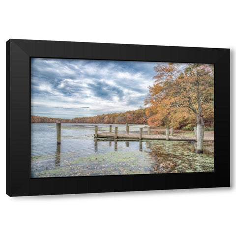 Blydenburg Park 2 Black Modern Wood Framed Art Print with Double Matting by DeLuca, Pat