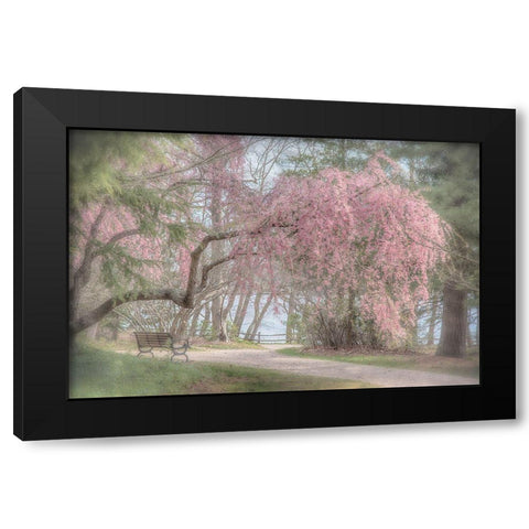 Merciful Integrity Black Modern Wood Framed Art Print with Double Matting by DeLuca, Pat