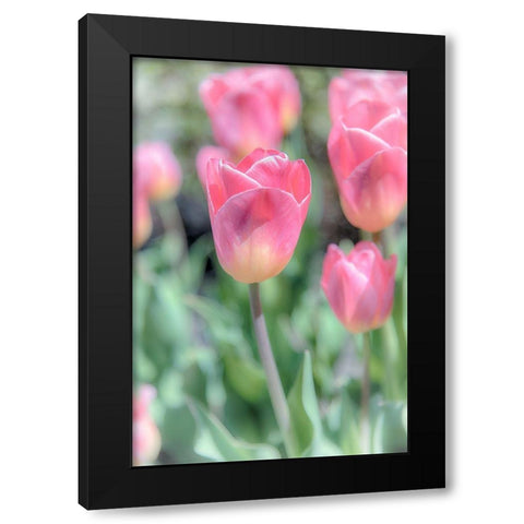 Inventions Of Chemistry Black Modern Wood Framed Art Print with Double Matting by DeLuca, Pat