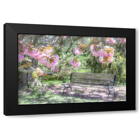 Perpetual Struggle Black Modern Wood Framed Art Print by DeLuca, Pat