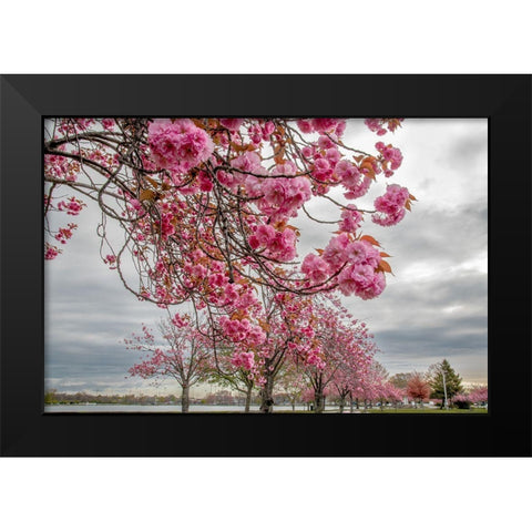 Spiritual Switch 1 Black Modern Wood Framed Art Print by DeLuca, Pat