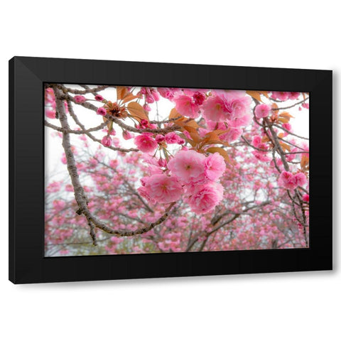 Spiritual Switch 2 Black Modern Wood Framed Art Print by DeLuca, Pat