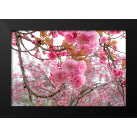 Spiritual Switch 2 Black Modern Wood Framed Art Print by DeLuca, Pat