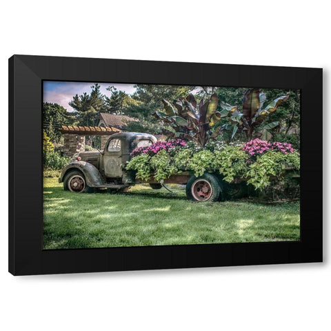 Sympathy Of Generosity Black Modern Wood Framed Art Print with Double Matting by DeLuca, Pat