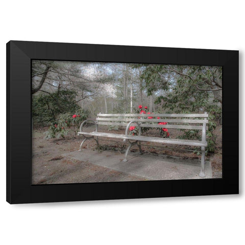 Familiar Romance Black Modern Wood Framed Art Print by DeLuca, Pat