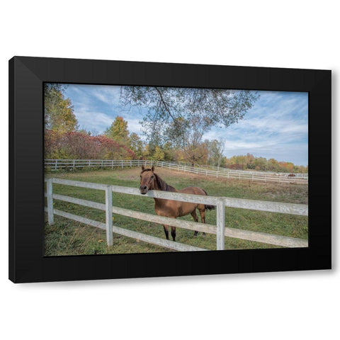 Perseverance Of Amazement Black Modern Wood Framed Art Print by DeLuca, Pat