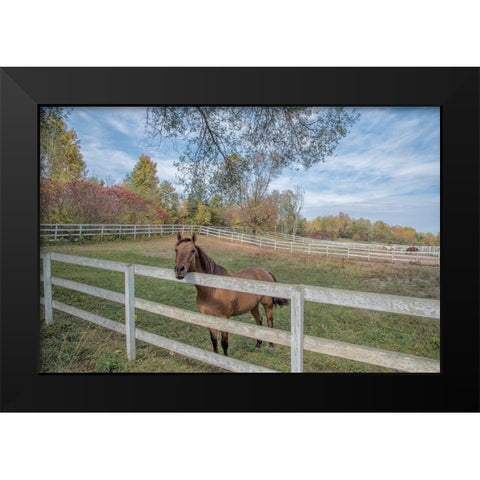 Perseverance Of Amazement Black Modern Wood Framed Art Print by DeLuca, Pat