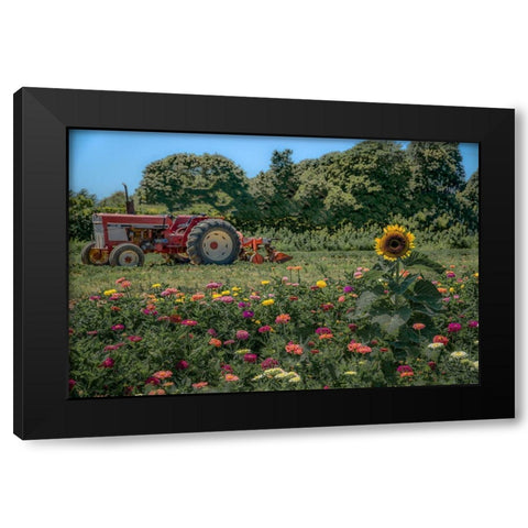 James Port Black Modern Wood Framed Art Print with Double Matting by DeLuca, Pat