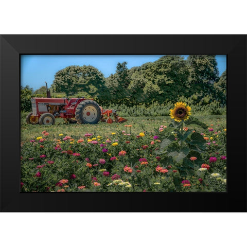 James Port Black Modern Wood Framed Art Print by DeLuca, Pat