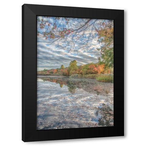 Bayport Fall Black Modern Wood Framed Art Print by DeLuca, Pat
