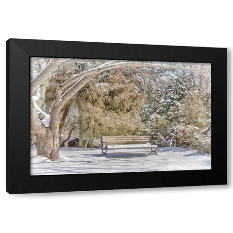 Arboretum 1 Black Modern Wood Framed Art Print with Double Matting by DeLuca, Pat