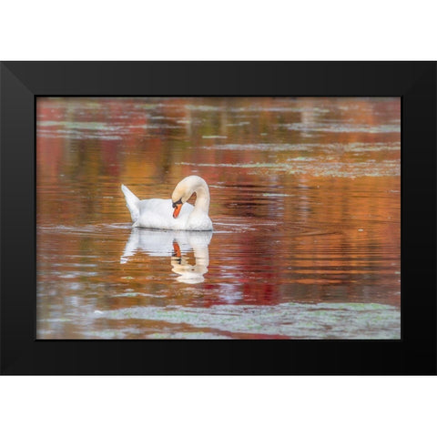 Mill Pond October Black Modern Wood Framed Art Print by DeLuca, Pat