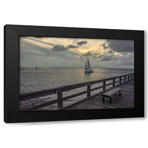 Cedar Beach Black Modern Wood Framed Art Print with Double Matting by DeLuca, Pat