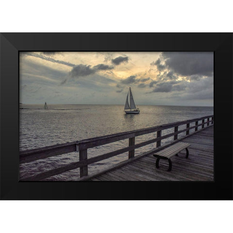 Cedar Beach Black Modern Wood Framed Art Print by DeLuca, Pat