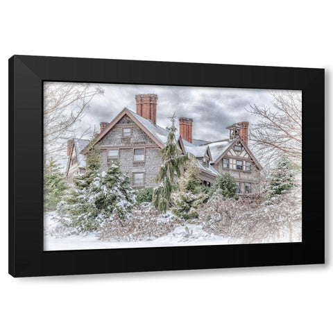 Aboretum December 1 Black Modern Wood Framed Art Print with Double Matting by DeLuca, Pat