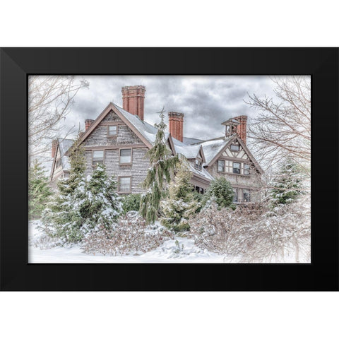 Aboretum December 1 Black Modern Wood Framed Art Print by DeLuca, Pat