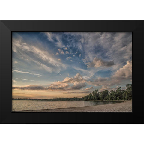 Idea Of Existence Black Modern Wood Framed Art Print by DeLuca, Pat