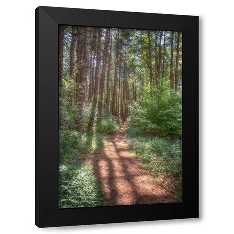 Hollow Fall Black Modern Wood Framed Art Print with Double Matting by DeLuca, Pat
