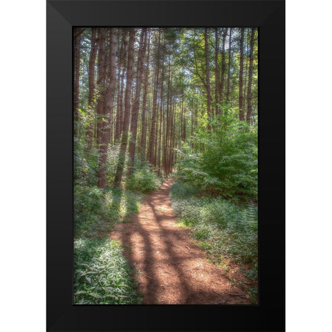 Hollow Fall Black Modern Wood Framed Art Print by DeLuca, Pat