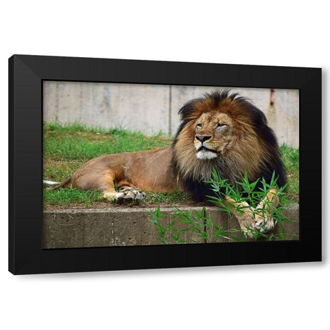 Brilliant Direction Black Modern Wood Framed Art Print with Double Matting by DeLuca, Pat