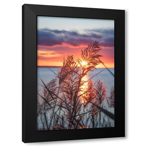 Exhilarated Potential Black Modern Wood Framed Art Print with Double Matting by DeLuca, Pat