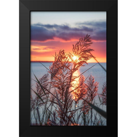Exhilarated Potential Black Modern Wood Framed Art Print by DeLuca, Pat