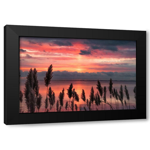 Aspiring Priority Black Modern Wood Framed Art Print with Double Matting by DeLuca, Pat