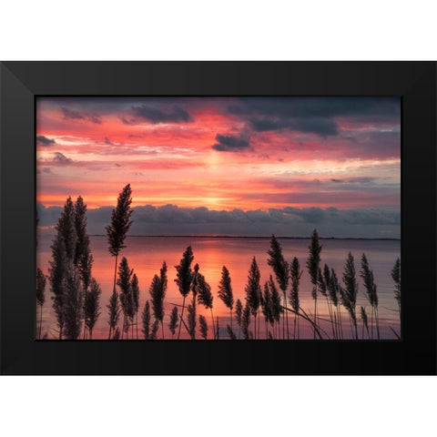 Aspiring Priority Black Modern Wood Framed Art Print by DeLuca, Pat