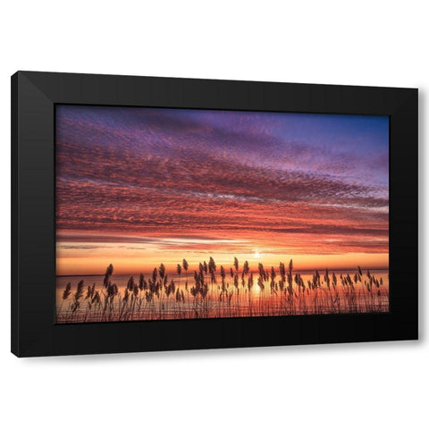Familiar Romance Black Modern Wood Framed Art Print with Double Matting by DeLuca, Pat