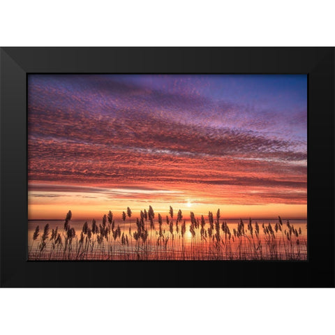 Familiar Romance Black Modern Wood Framed Art Print by DeLuca, Pat