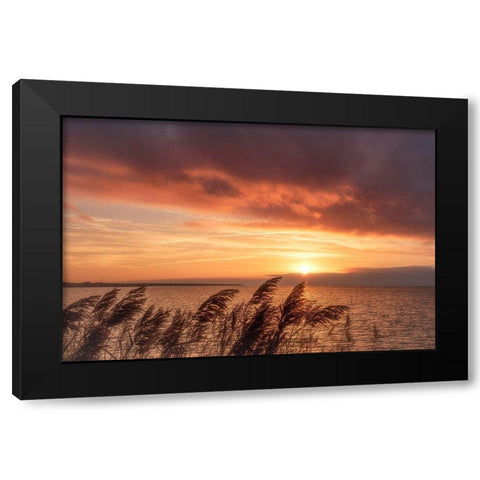 Living Belief Black Modern Wood Framed Art Print by DeLuca, Pat