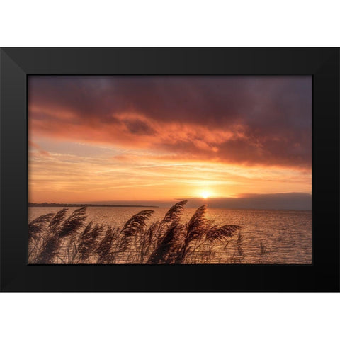 Living Belief Black Modern Wood Framed Art Print by DeLuca, Pat