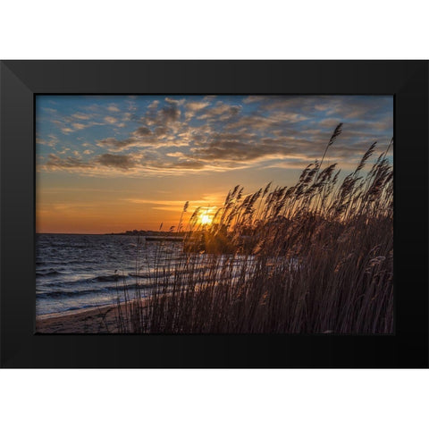Discovery Of Redemption Black Modern Wood Framed Art Print by DeLuca, Pat