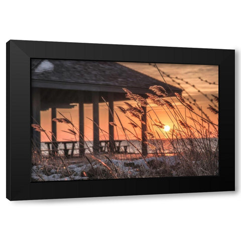 Imminent Loyalty Black Modern Wood Framed Art Print with Double Matting by DeLuca, Pat