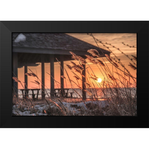Imminent Loyalty Black Modern Wood Framed Art Print by DeLuca, Pat