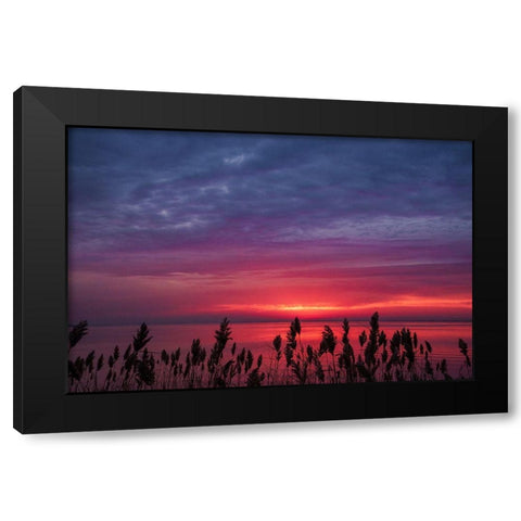 Change Of Purpose Black Modern Wood Framed Art Print by DeLuca, Pat