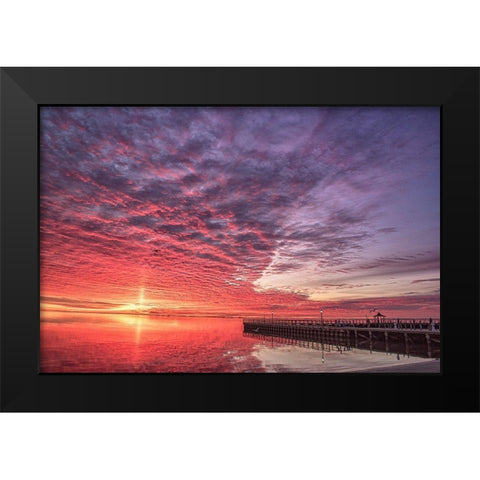 Discovery Of Grace Black Modern Wood Framed Art Print by DeLuca, Pat